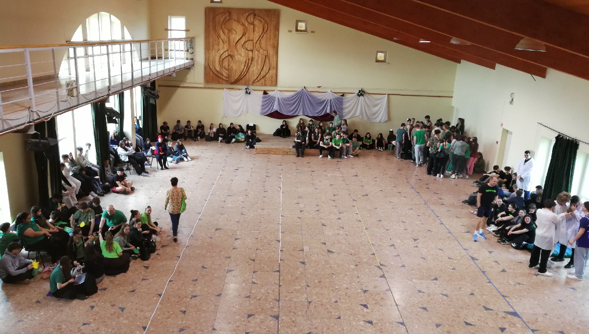 20260401-Borshowzas-01